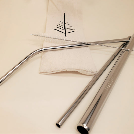 Ensemble de pailles en acier inoxydable